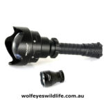 Wolf Eyes Seal Pro Ultra LED Torch nature watching