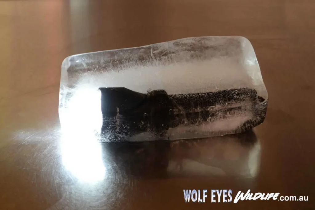 Wolf Eyes Seal Pro Ultra LED Torch in iceblock