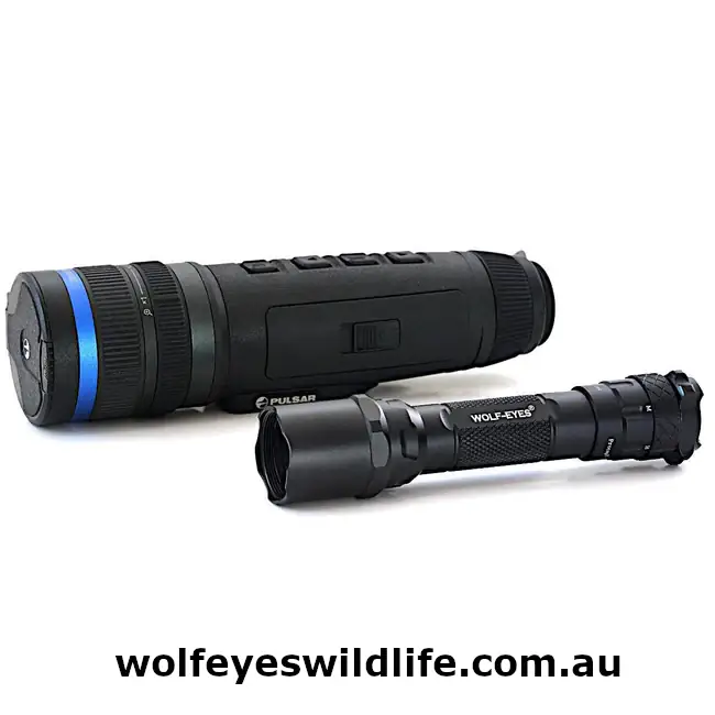 Pulsar Telos XG50 thermal monocular shown with a Wolf Eyes LED torch